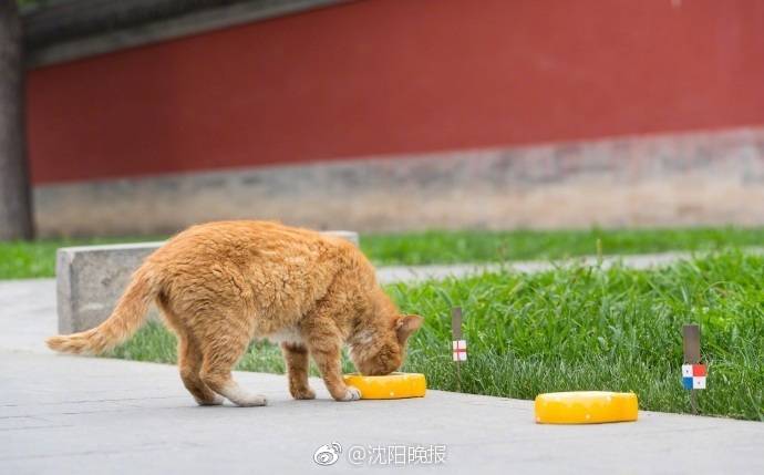 {随机关键词}