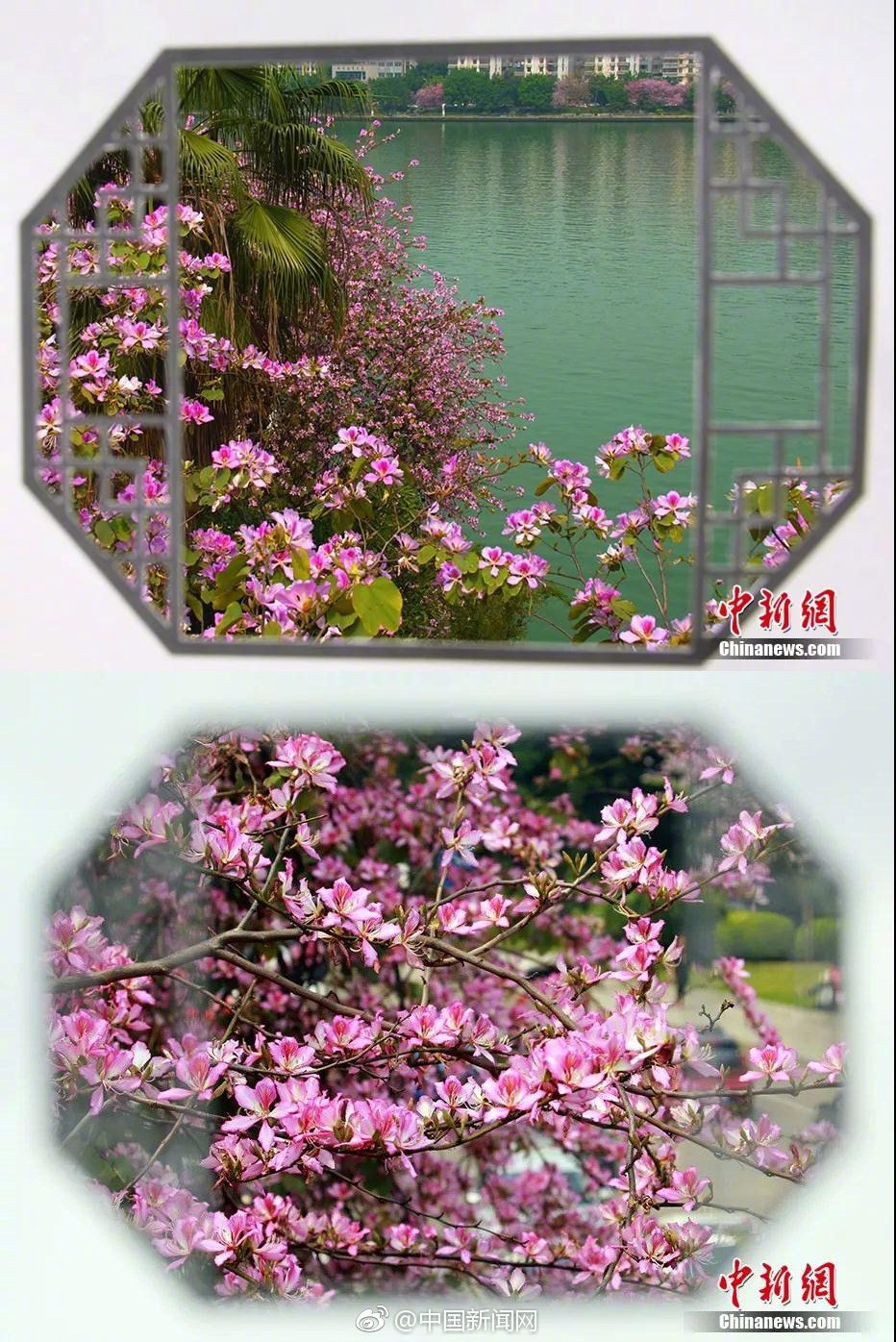 {随机关键词}