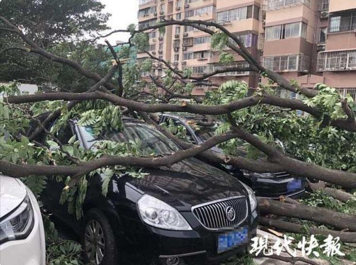 {随机关键词}