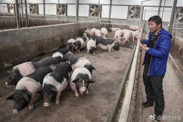 17岁黄色软件下载入口