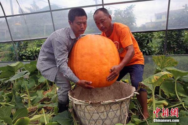 我是你妈不要插进去