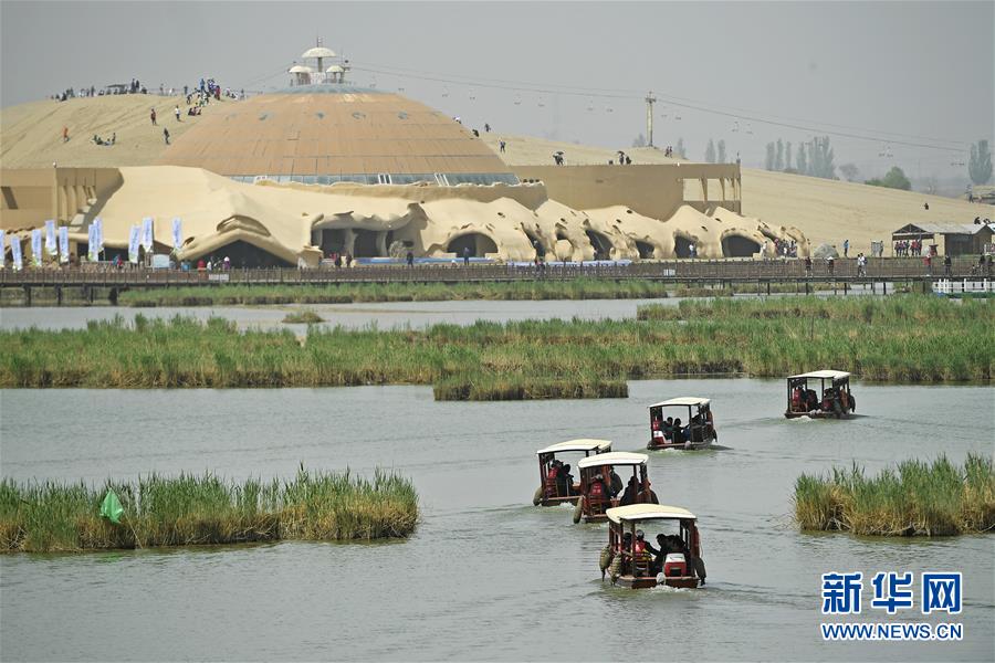 自由1081x汇编x额定场景